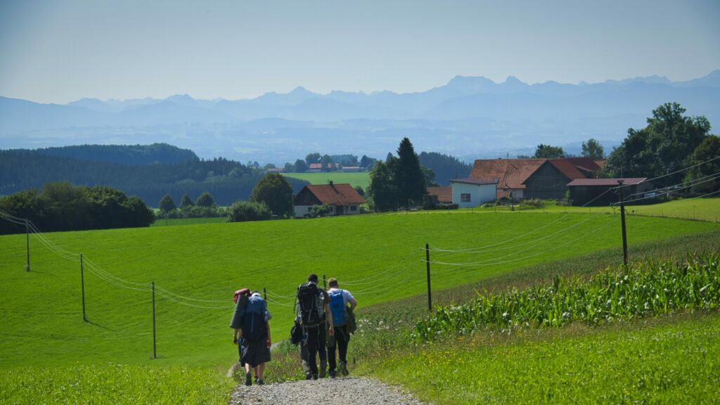 Jugendliche beim Wandern über grüne Wiese